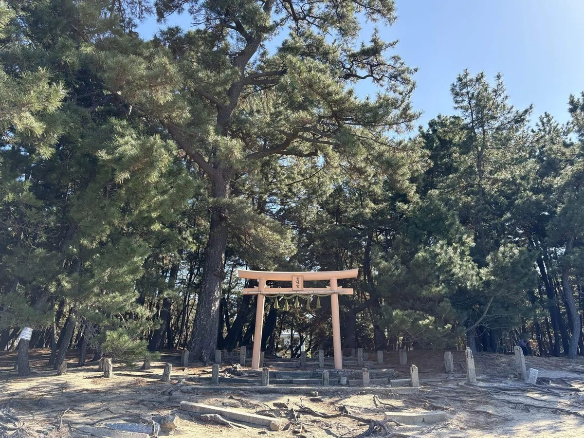 画像