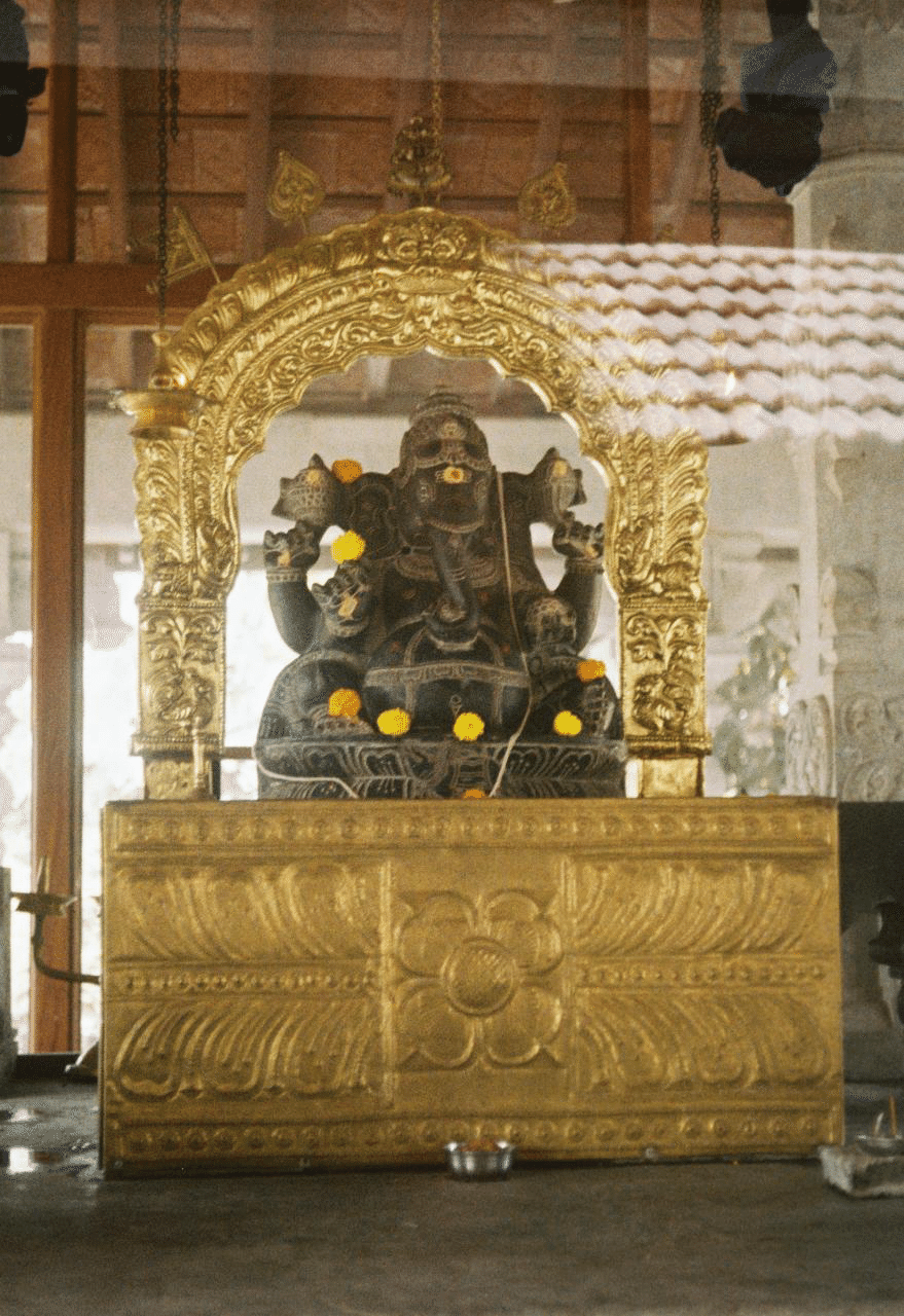 アトピーをアーユルヴェーダで治療する ｜ パンチャカルマ体験記①