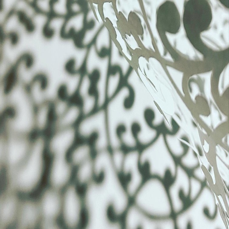 愛でる見つける唐草文様1｜文様研究室