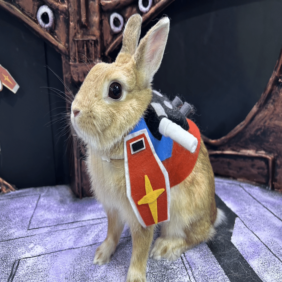 うさぎ】ぜひ知っておいて欲しいこと｜中井伸弥