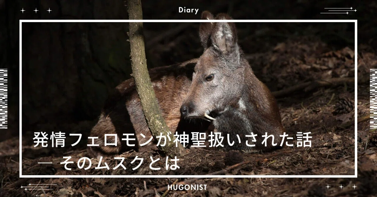 ムスク と は