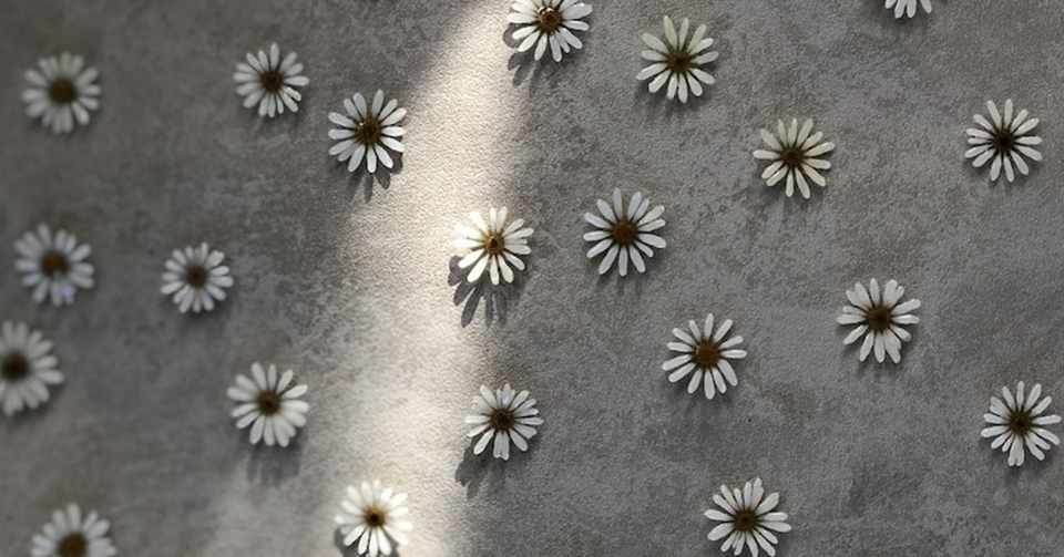 可愛い デイジー マーガレット なモノ 5選 まつゆう Note