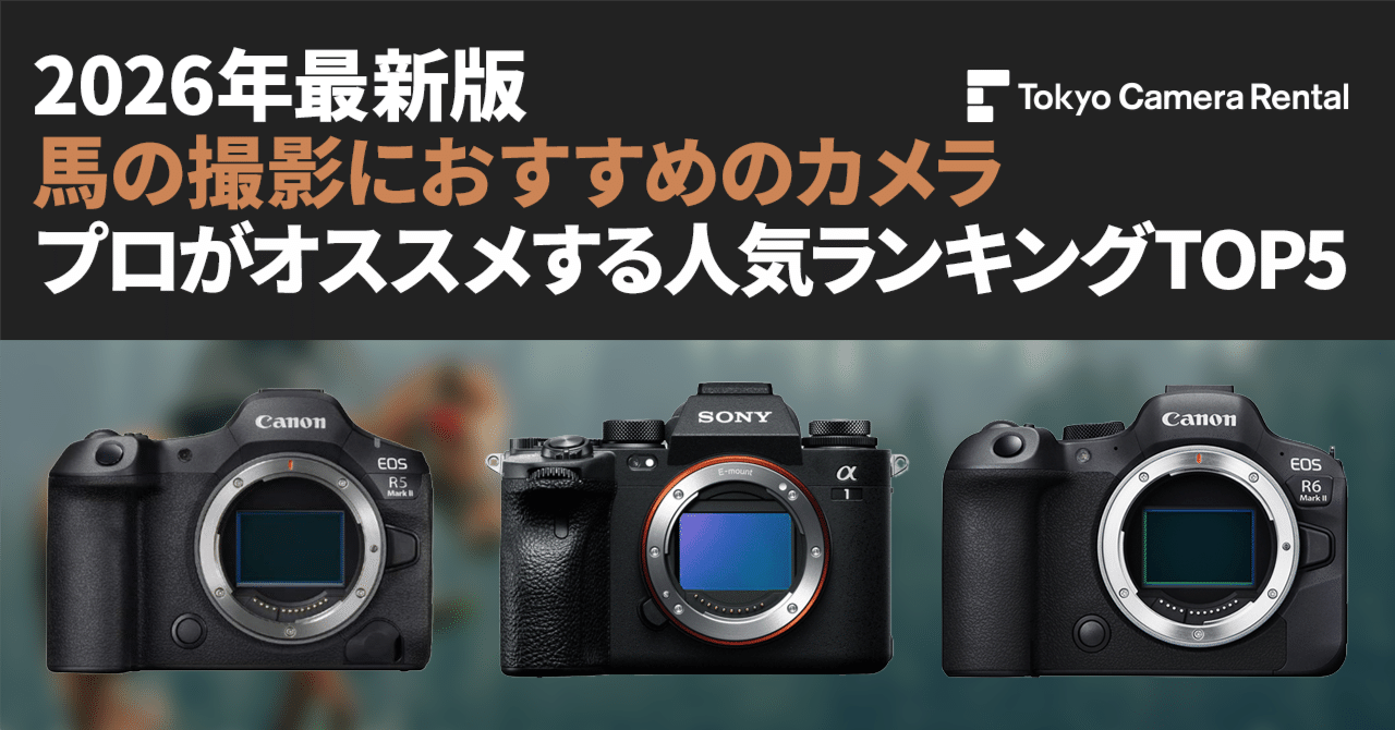 2026年最新版「馬の撮影におすすめのカメラ」プロがオススメ人気