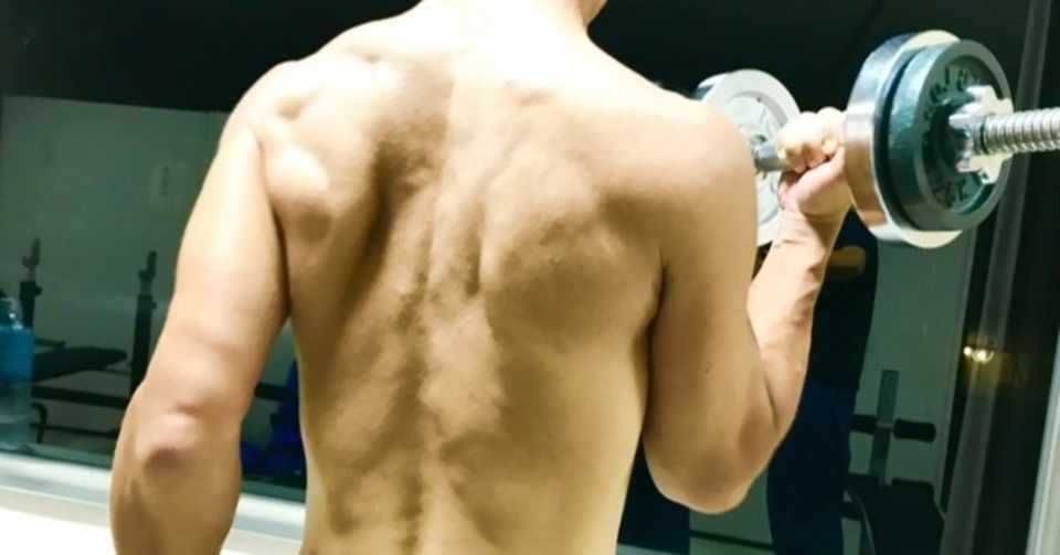 どんな体になりたい 目的別のトレーニングと食事 6joe Kintore Taka Note