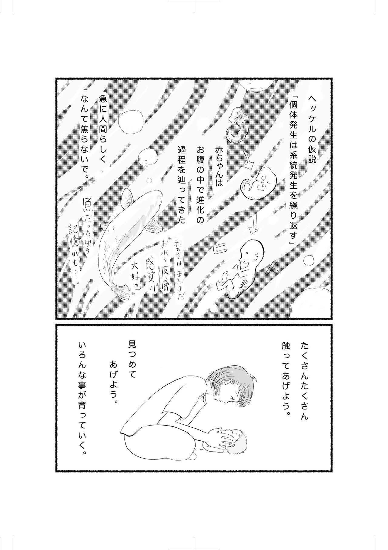 ご機嫌良し赤ちゃんのコツ 今井しょうこ フリーマガジンkokohada3代目編集長 Note