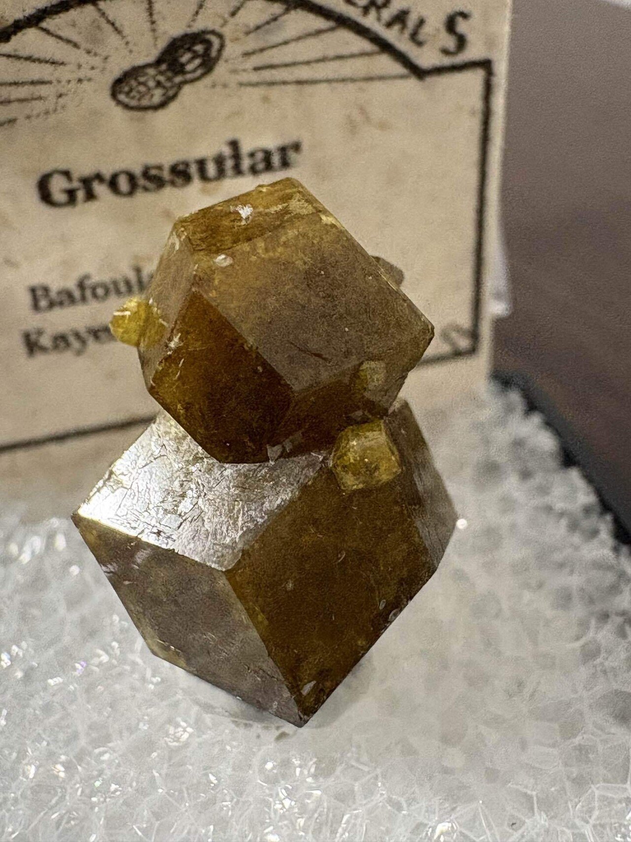 105 雑記(2026/2/17) 鉱物の本｜omochi