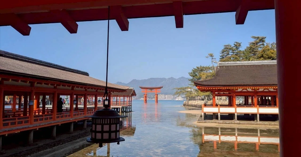 To my middle school self, I'm sorry. Miyajima was sacred.｜生駒