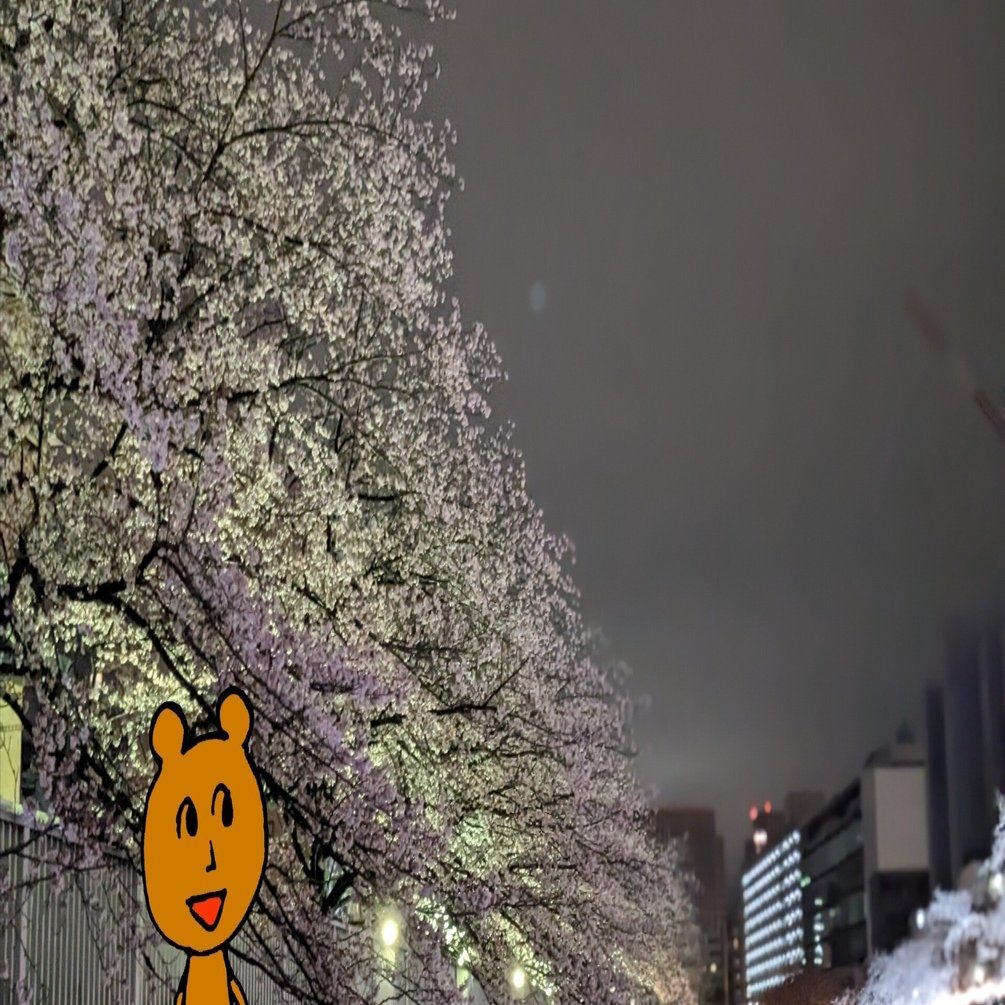 最高の桜を見るために2026年の満開日を予測した。｜セオ・ドア