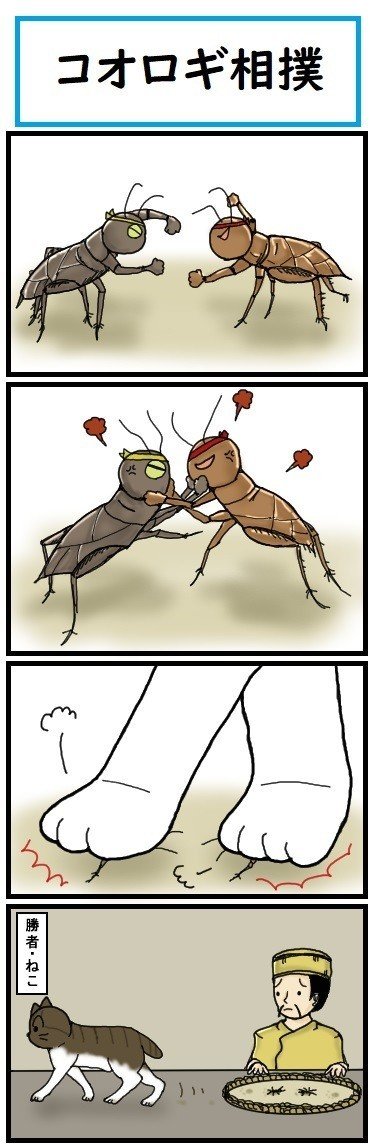 ほら ここにも猫 第328話 コオロギ相撲 広翼 Note