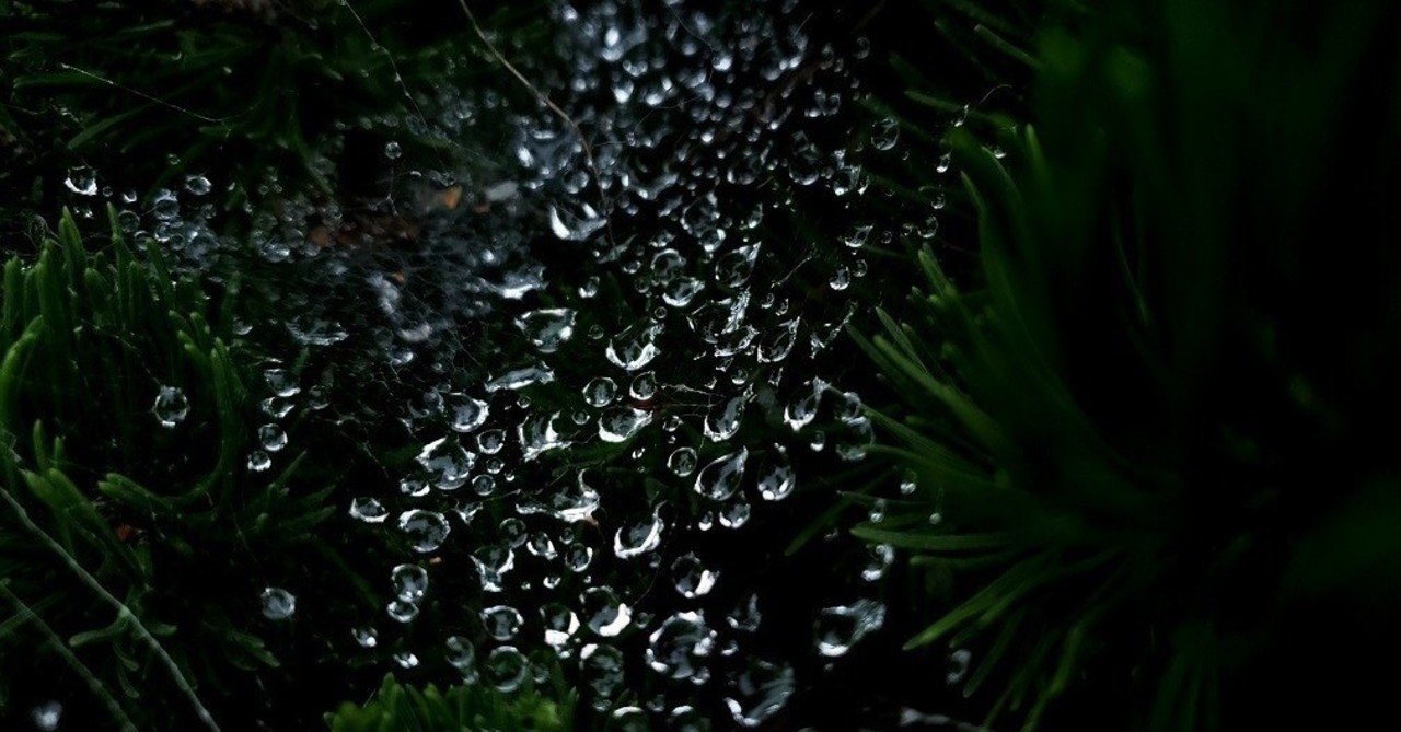 156 徹夜 ジル Note