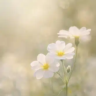 Aru.～人間になる過程～