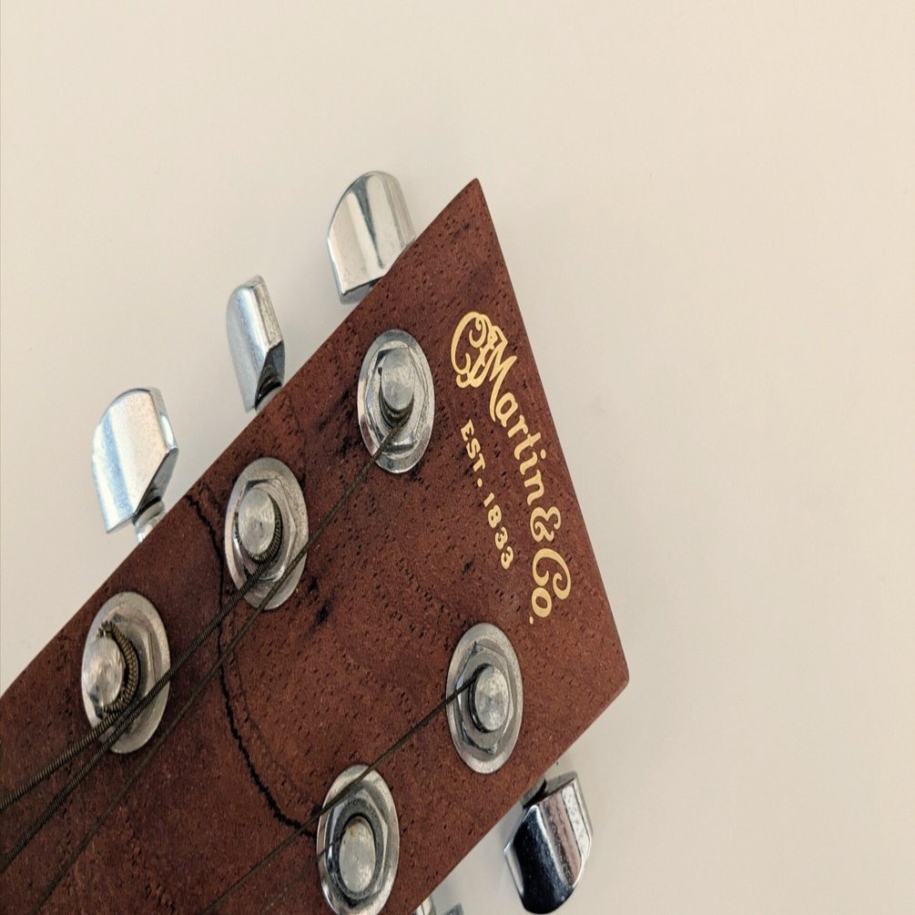 MartinのトラベルギターBackpackerを買ったよ！バッグをどうしようか