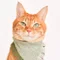 エルエルポウズのねこ撰