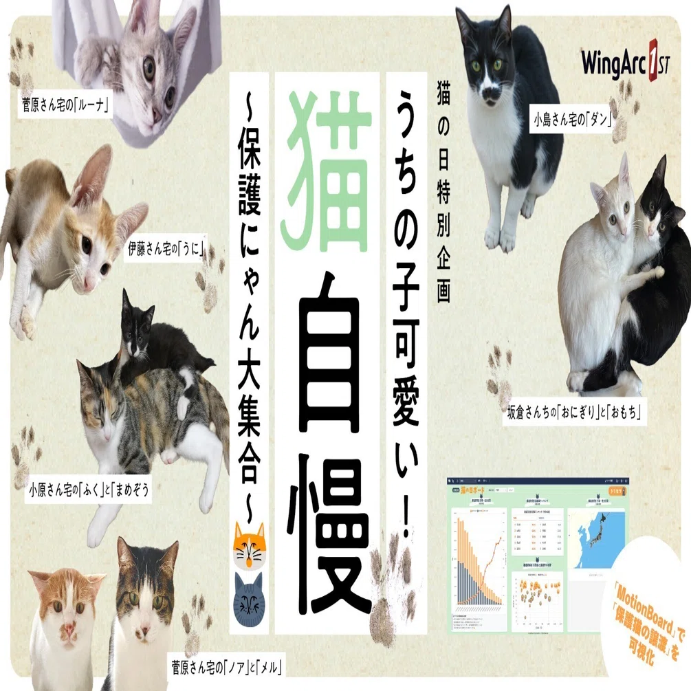 うちの子可愛い！猫自慢2026 保護にゃん大集合～｜ウイングアーク1st