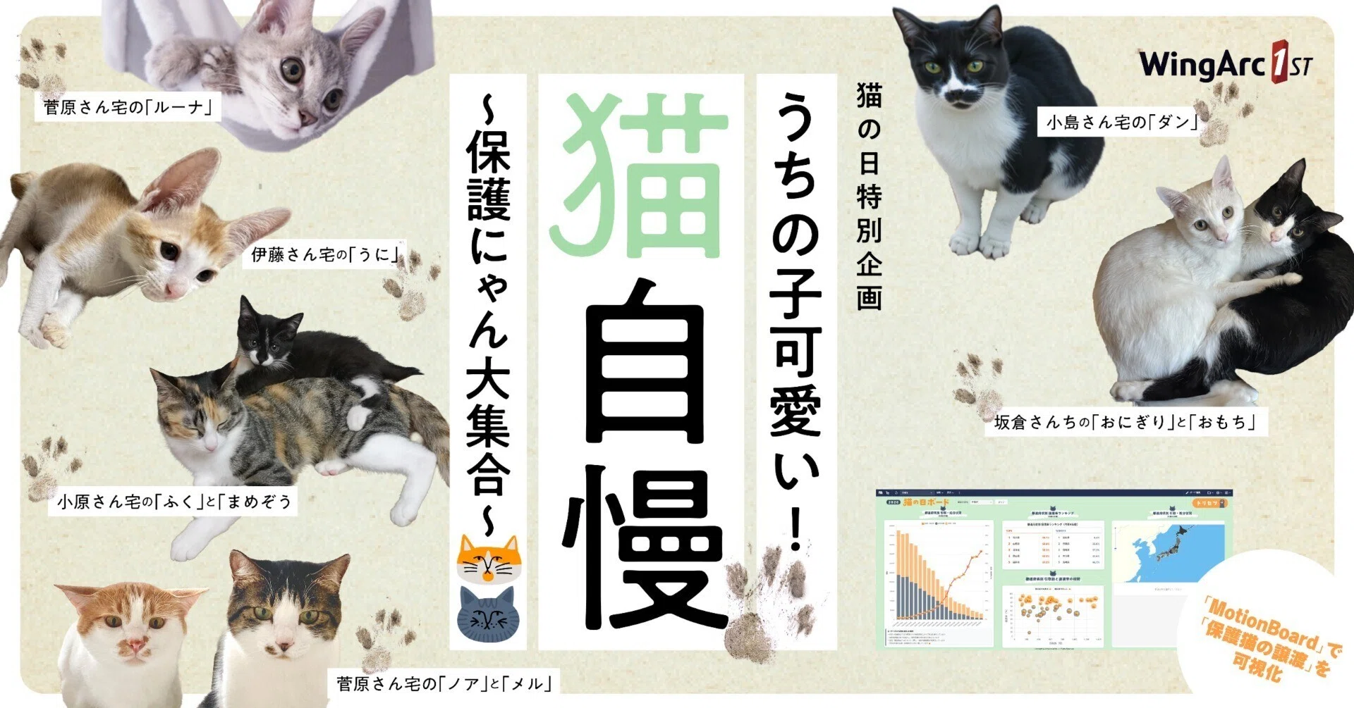 うちの子可愛い!猫自慢2026 保護にゃん大集合~|ウイングアーク1st うちの子可愛い!猫自慢2026 保護にゃん大集合~|ウイングアーク1st