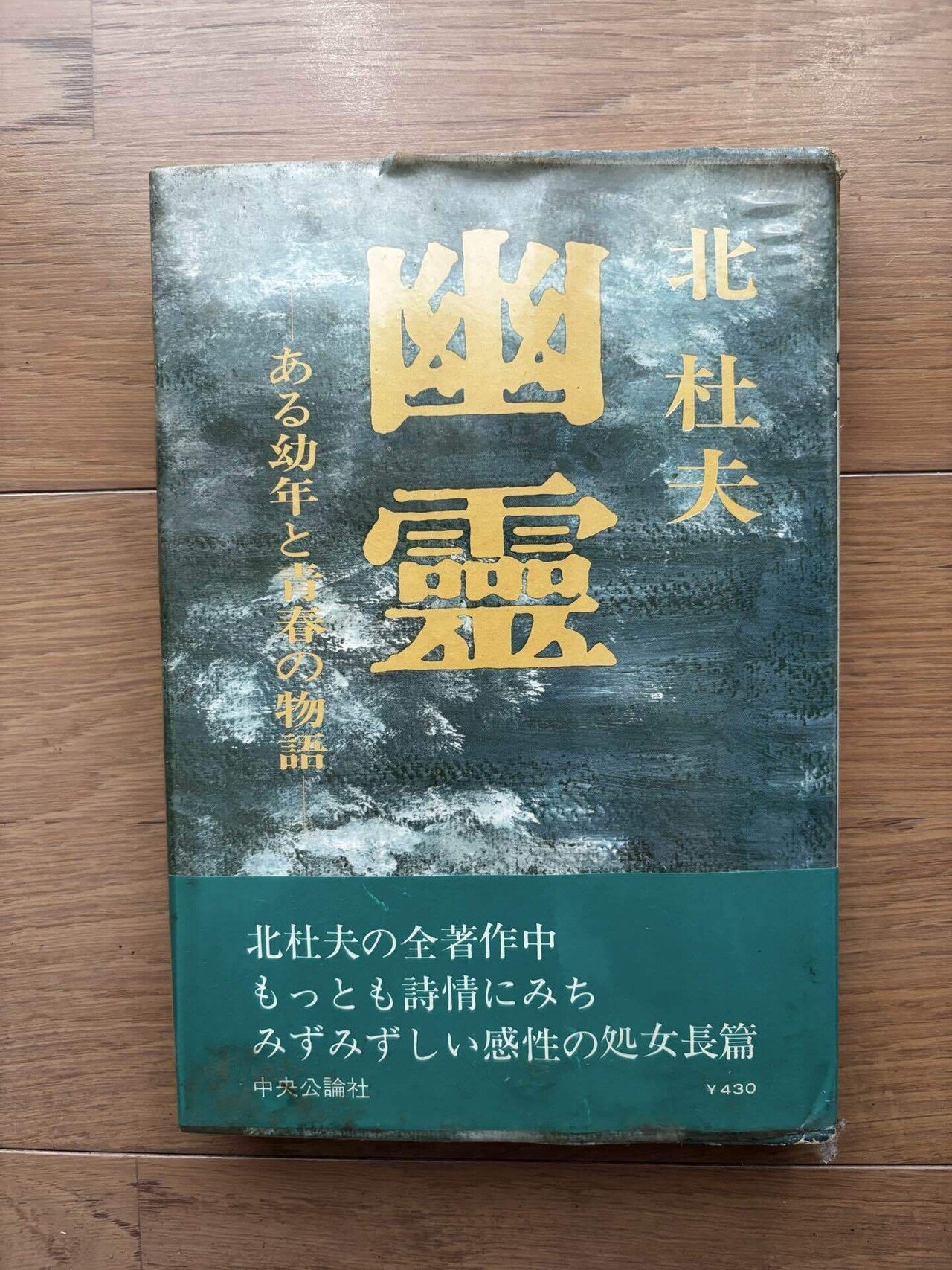 幽霊 ある幼少と青春の物語｜銀漢堂書林