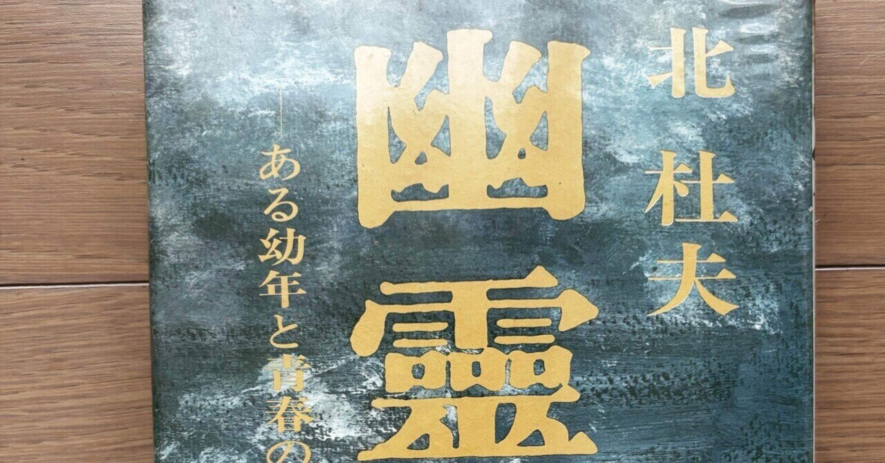 幽霊 ある幼少と青春の物語｜銀漢堂書林