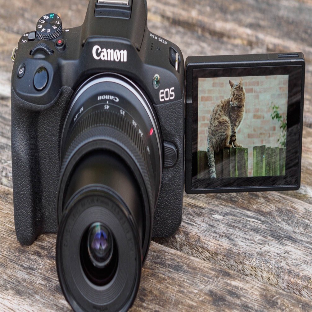 ついに念願の一眼レフカメラを購入しました！1台を購入するまでの苦悩