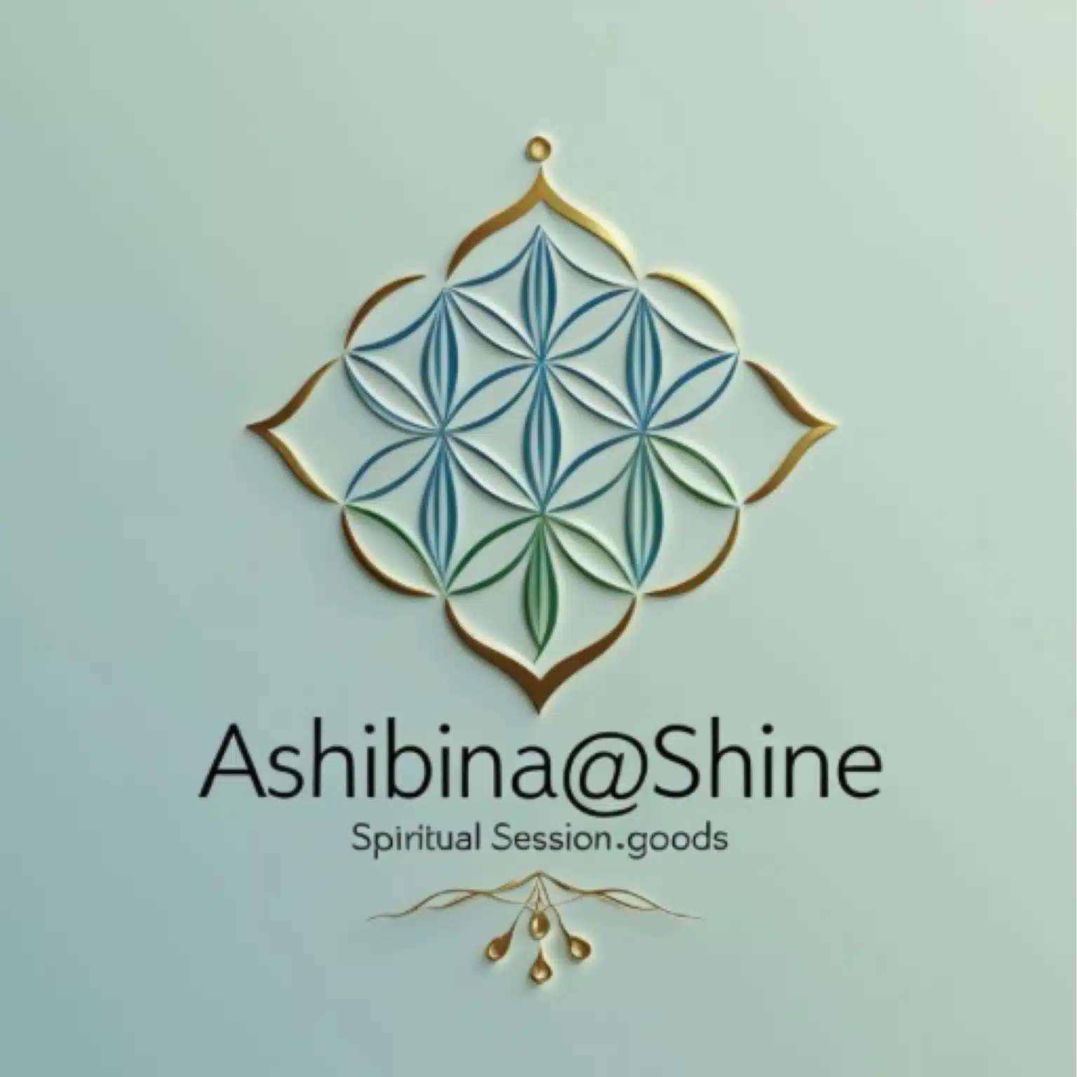 あしびな@shine🌈