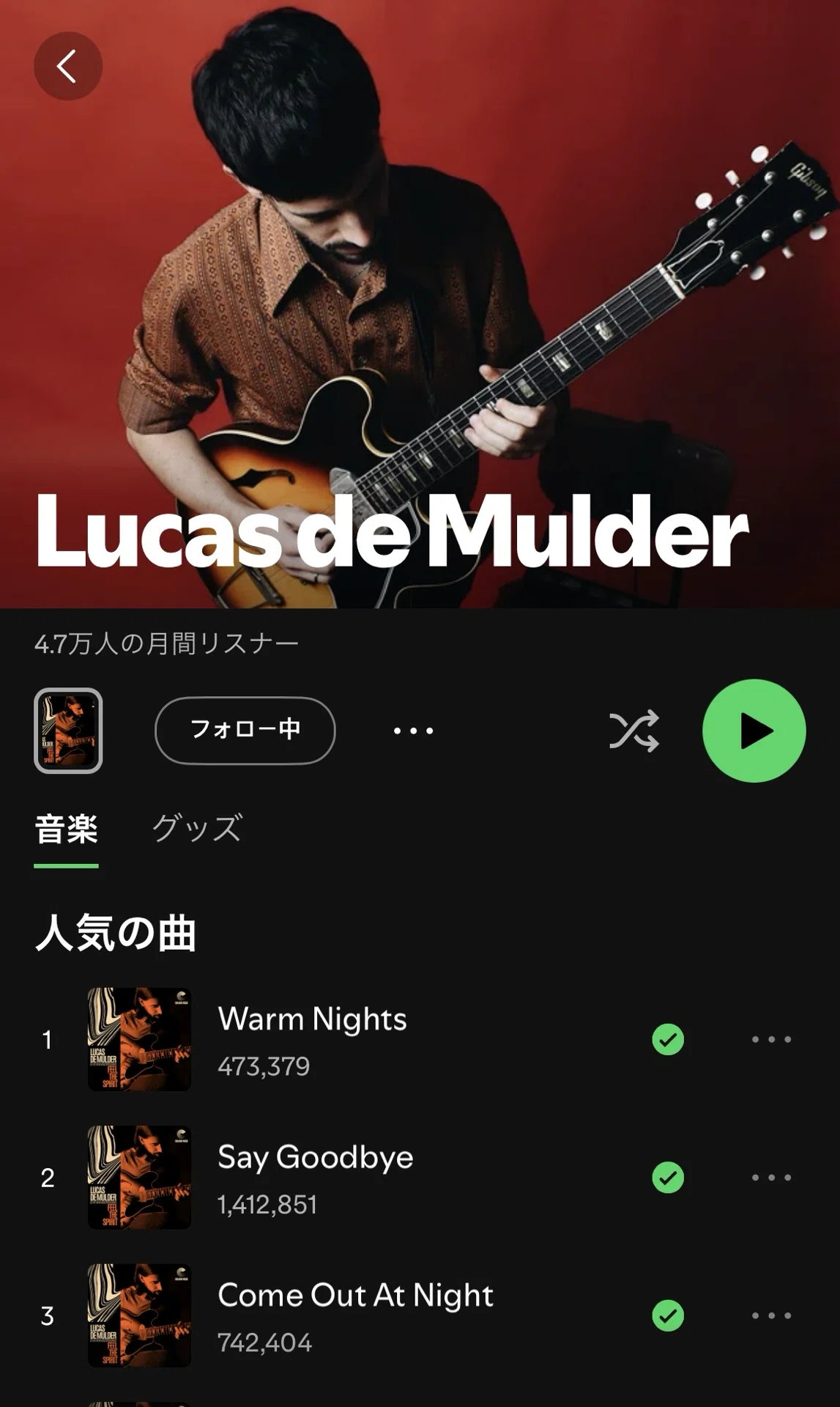 イチ押しのロック寄りジャズギタリスト｜ngoakr