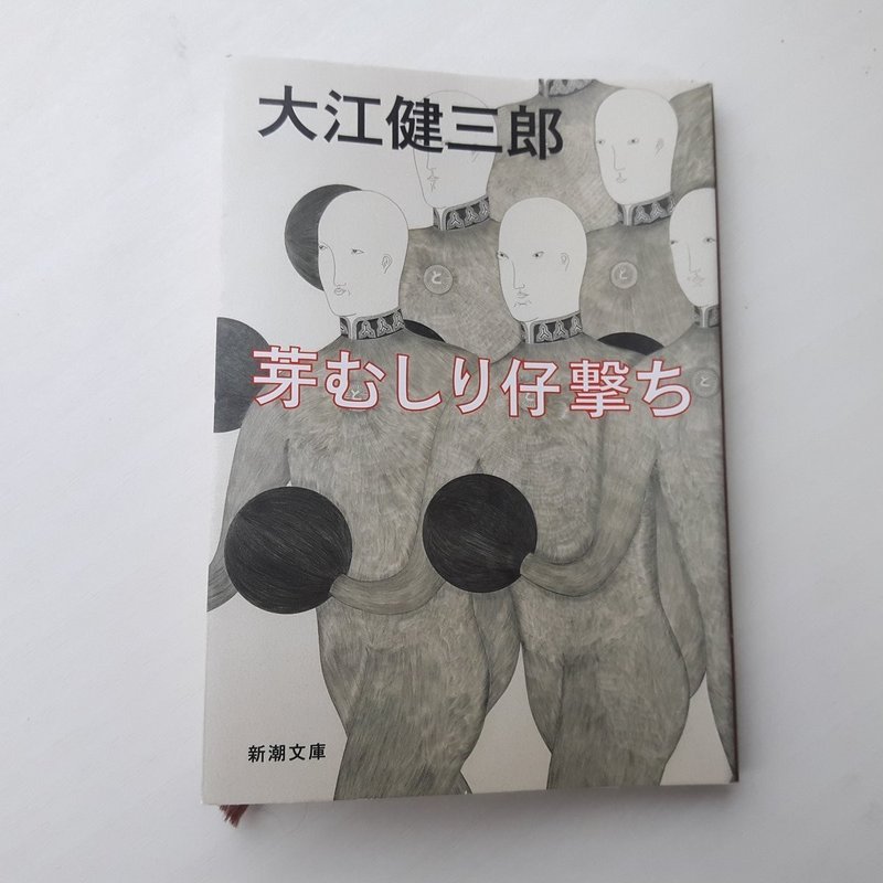 芽むしり仔撃ち 大江健三郎 読女の毒書 Note 芽むしり仔撃ち 大江健三郎 読女の毒書 Note