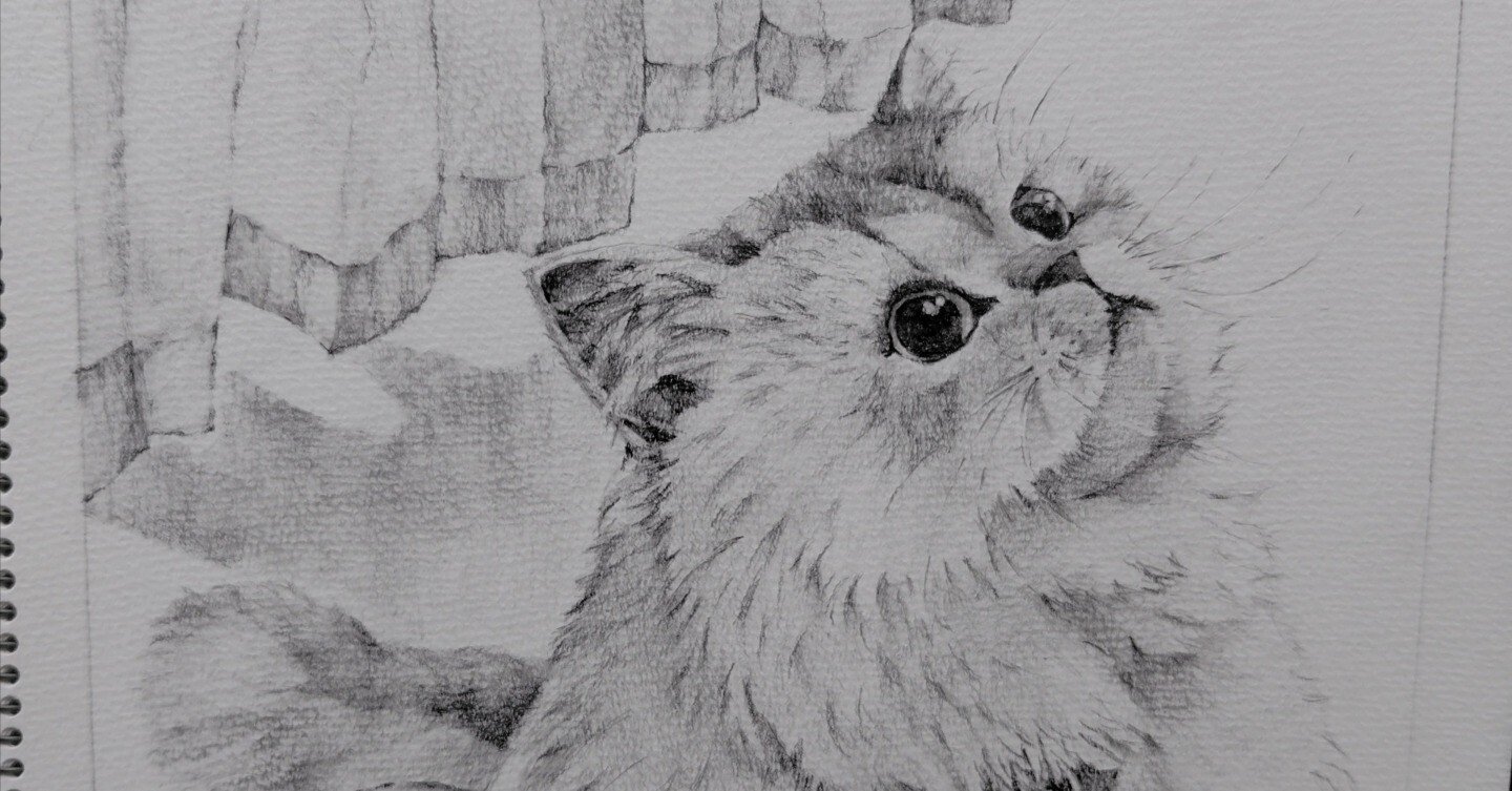 見上げる猫を鉛筆で描きました。｜ぎんなん