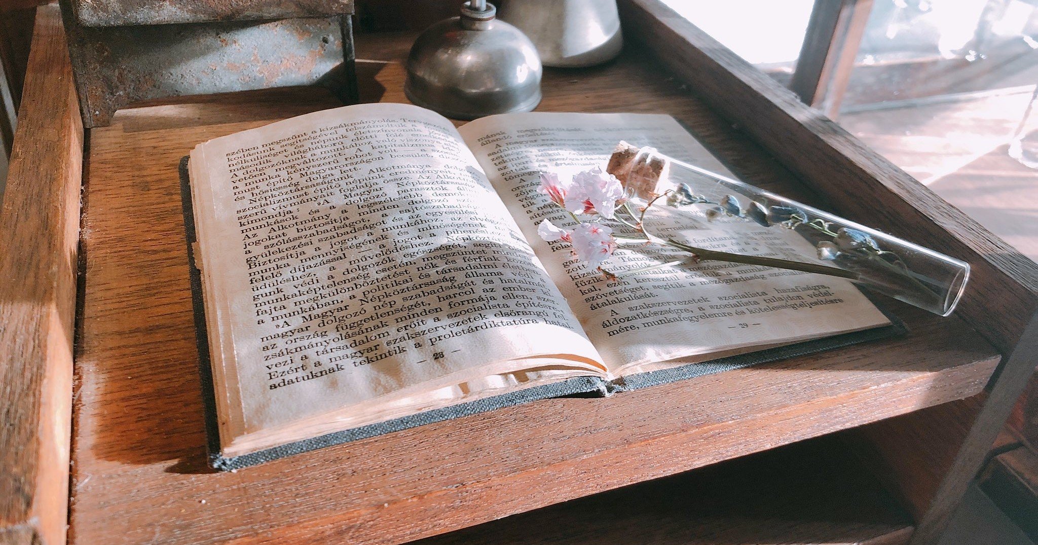 カーストヘヴン を読みました 微酸 Note カーストヘヴン を読みました 微酸 Note