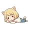 MaCoCo