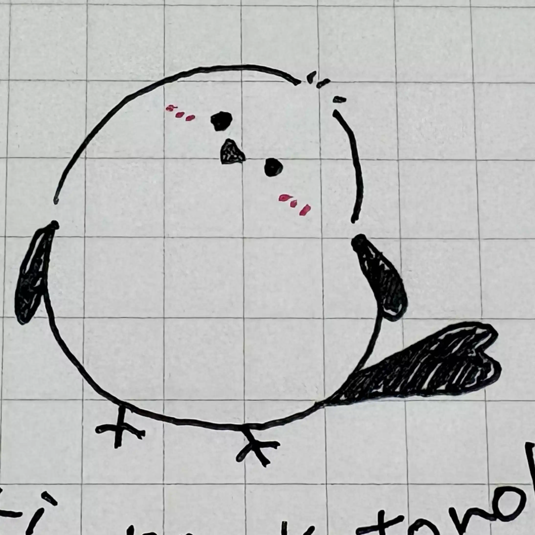 ことりのことのは