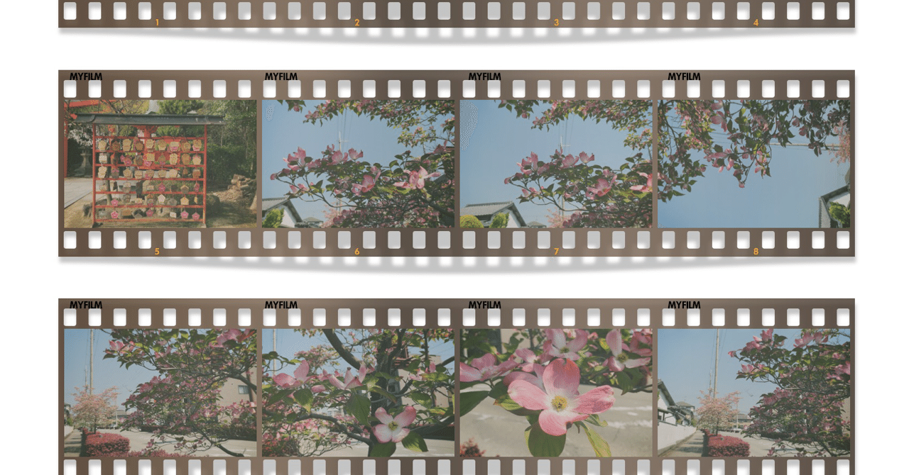 フィルムカメラ風アプリ Ee35フィルムカメラ Shoko Photo1 Note フィルムカメラ風アプリ Ee35フィルムカメラ Shoko Photo1 Note