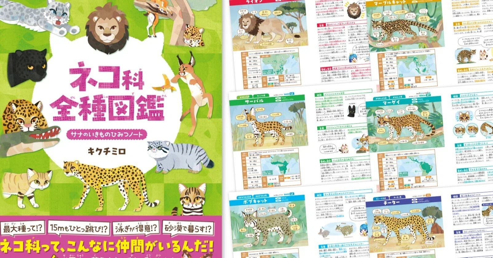 図鑑 書籍版『ネコ科全種図鑑』が発売されます｜キクチミロ