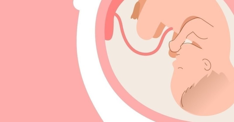 胎動の話 マユコ Note