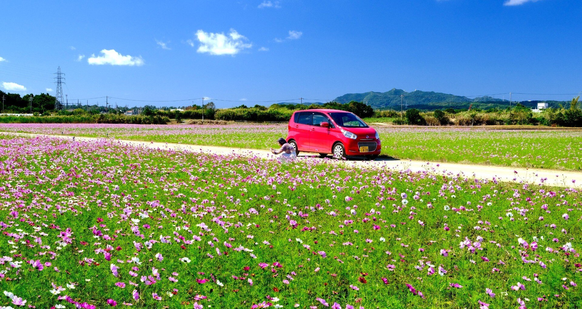 花のある風景 - 花写真｜Heira.K｜note