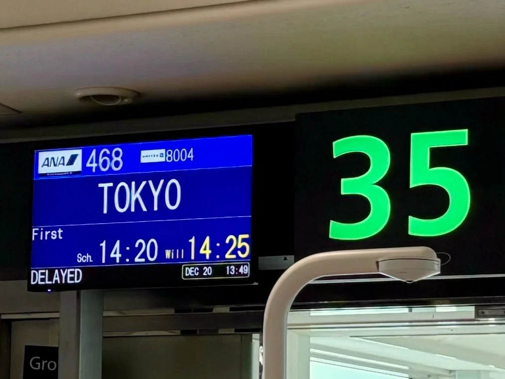 沖縄旅行記:最終話那覇空港から東京へ…そして結局飲む。新宿「美禄亭 