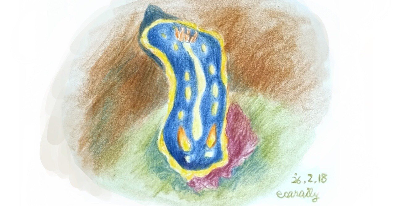 色鉛筆画0218｜エカレエリ@詩-絵-自主制作