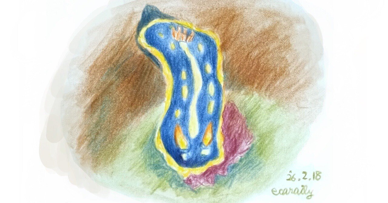 色鉛筆画0218｜エカレエリ@詩-絵-自主制作