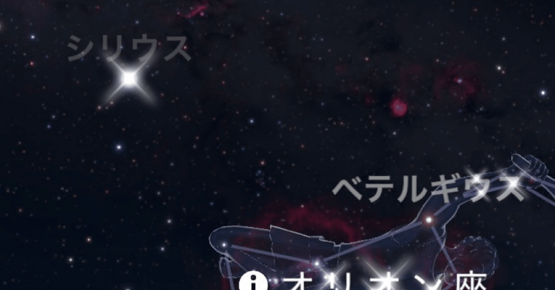 夜空を見上げて｜サリー