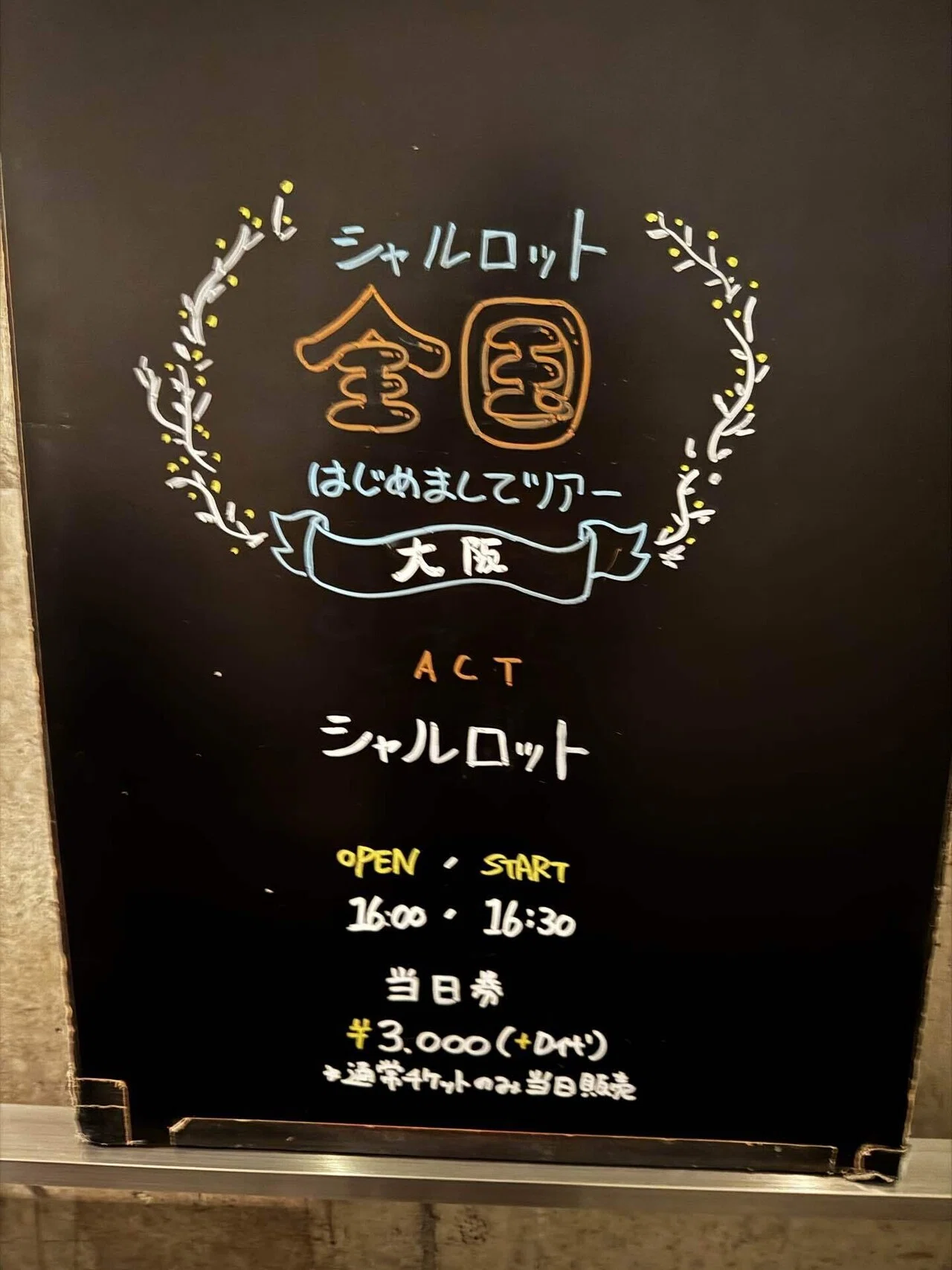 アイドル】シャルロット“一ノ瀬瑠菜”を推せる人生でよかった400日 