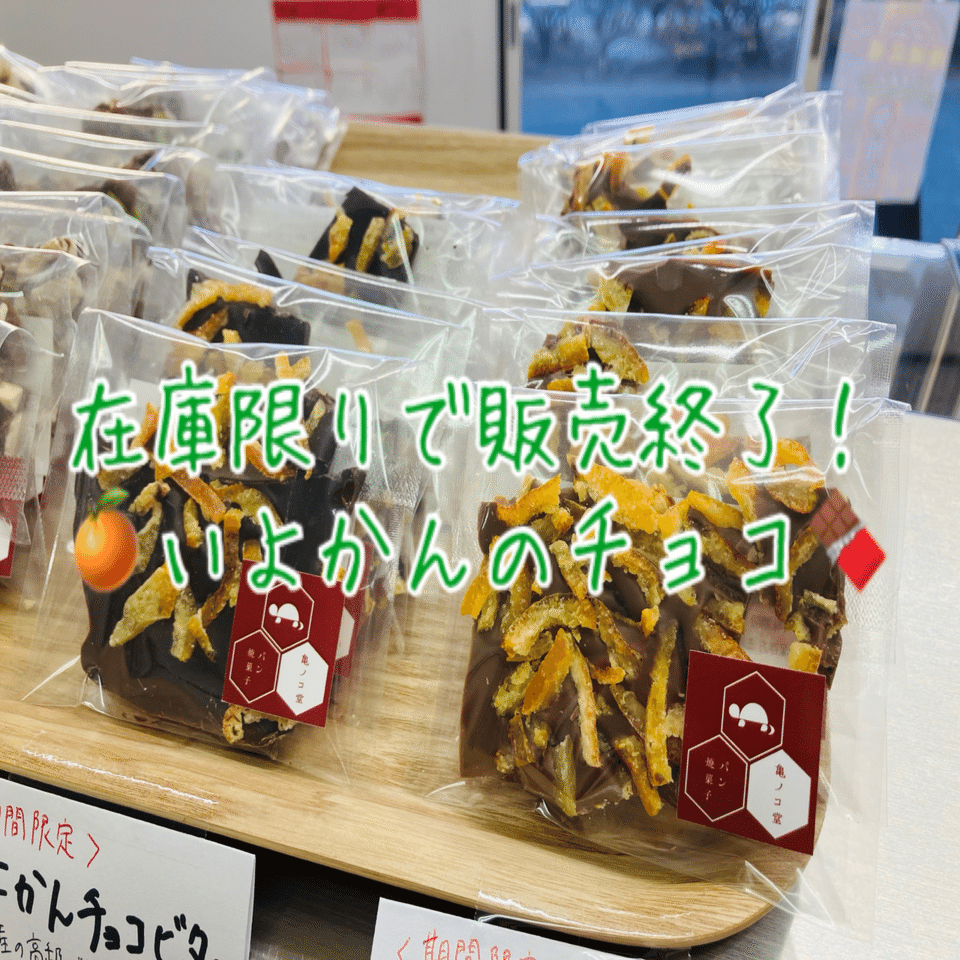 在庫限りで販売終了！！いよかんのチョコレート🍊🍫🍊🍫｜亀ノコ堂店主