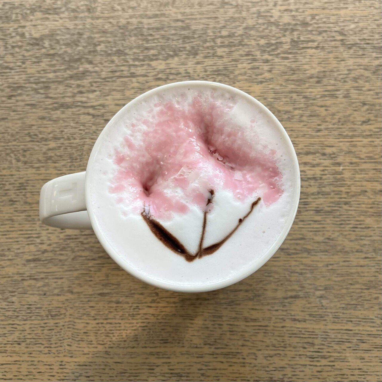 自己紹介｜もっこ