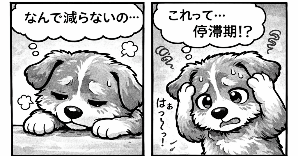 停滞期でやってはいけない3つのこと！食べてないのに、なぜ増えるの