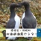 北海道海鳥センター