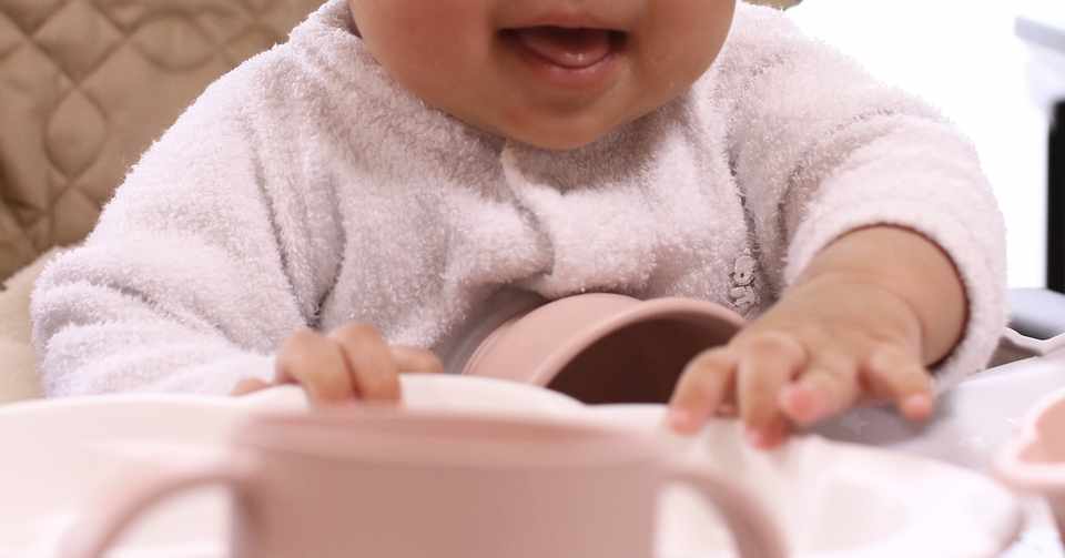 胎児期 授乳期における お口 の発達 ささやん 発酵中 Note