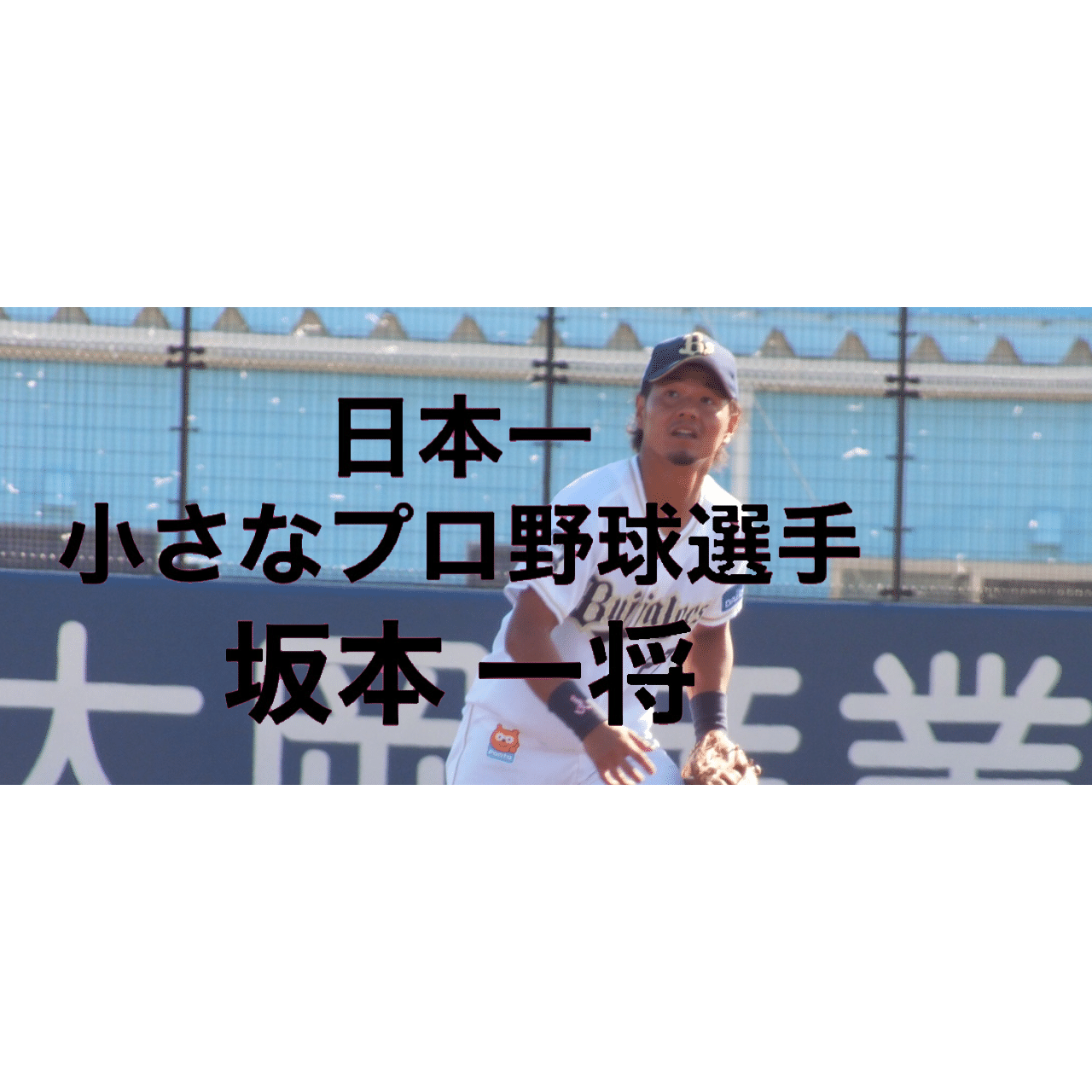 162cmだからプロ野球選手になれました Jf Sports Web Media Sports In Your Life Note