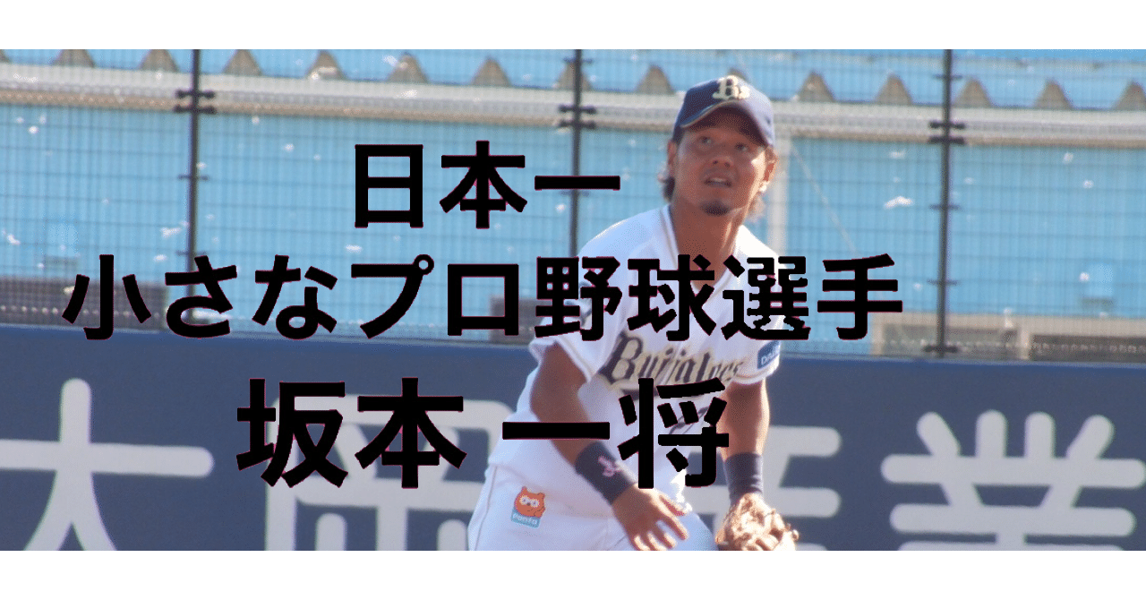 162cmだからプロ野球選手になれました Jf Sports Web Media Sports In Your Life Note