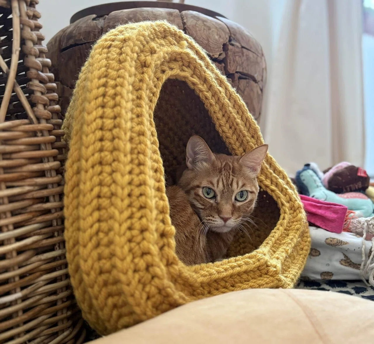 3年待った「高級猫ちぐら」を無視されたので、編み物初心者がキャット