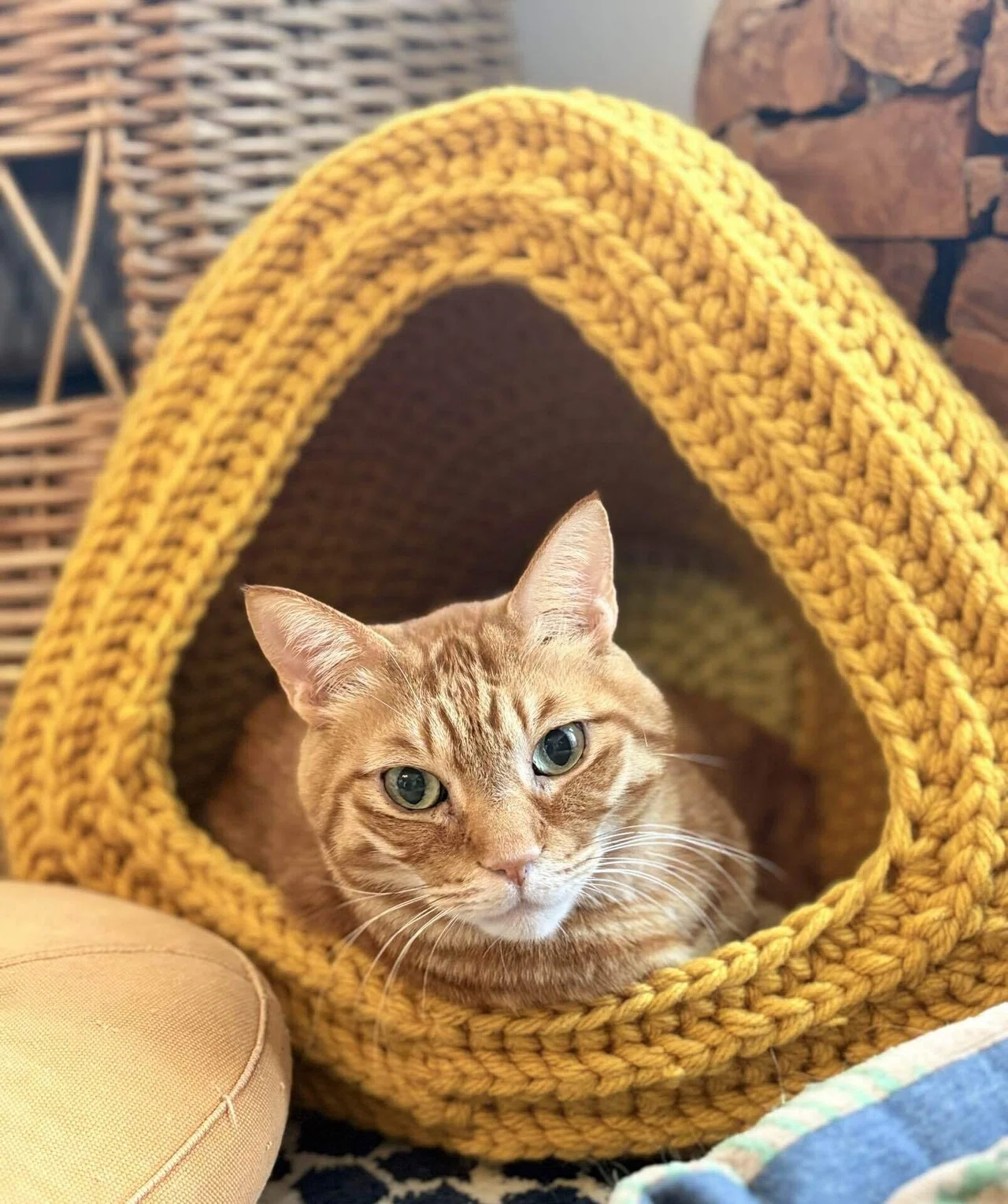 3年待った「高級猫ちぐら」を無視されたので、編み物初心者がキャット
