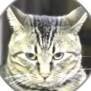 伊藤惠一