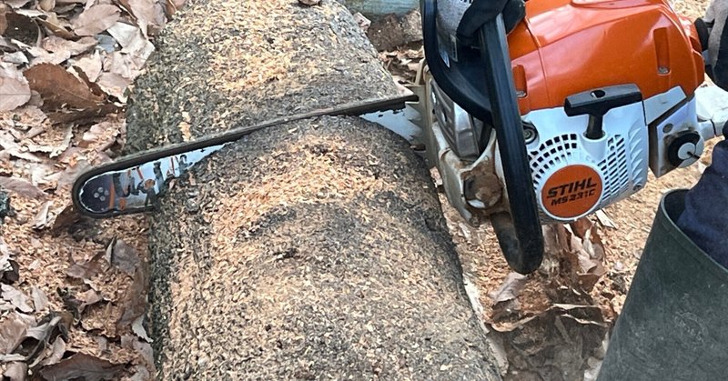 どんぐり山通信：玉切り