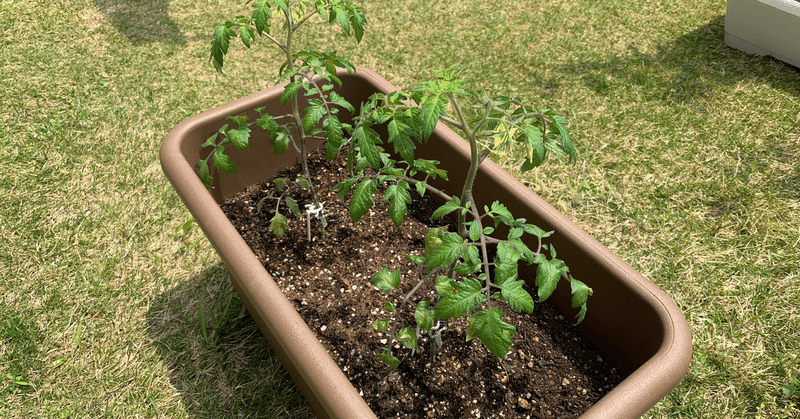 幸せな人間関係を築くために 縁を切るべき人の３つの特徴 いっせい プロモーションライター note